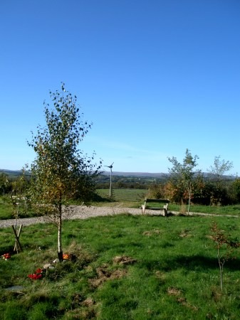 Crossways Woodland Burials, Exeter